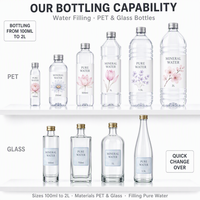 Sanitary Hygienic Food Grade Automatic Mineral Pure Drinking Water PET Glass Bottle Rinsing Filling Capping Bottling Machine
