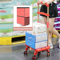Carrito de compras portátil de plástico súper mercado de mano de empuje plegable