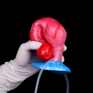 Consolador ZRX Suave de Perro/Lobo Inflable con Nudo Grande, Función de Eyaculación y Ventosa Fuerte, Juguete Sexual y Plug Anal para Hombres y Mujeres - Product Image 2