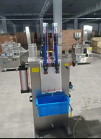 Remplisseuse de liquides hautement corrosifs à double tête Machine de remplissage de liquides pour nettoyeur de toilettes Harpic
