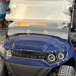 4 bánh xe duy nhất Rider giá rẻ phù hợp tay đóng điện đường phố <span class=keywords><strong>Buggy</strong></span> 2 CHỖ NGỒI điện chỗ ngồi Golf giỏ hàng pin bán Trung Quốc - Product Image 6