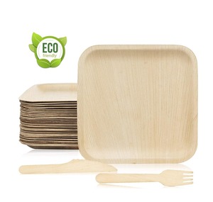 100-Pack 10 Inch Square Palm Leaf <b>Disposable</b> Bamboo <b>Plate</b> Dishes Eco-Friendly Biodegradable for Dessert Appetizer for Parties - Product Image 2