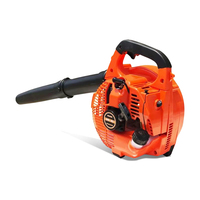 Extincteur portable haute puissance ED260, extincteur forestier, souffleur à vent, souffleur à neige, souffleur à essence