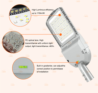 Lámpara LED de Calle de Grado Profesional de 100W 150W 200W 300W para Carreteras, Carreteras Principales, Proyectos de Iluminación Municipal, Cabeza de Cobra, ETL DLC