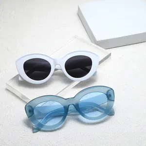 2024 Luxury Cat Eye Women's Sunglasses Wholesale Fashion Lady Girl Gift Sunglasses Promotion