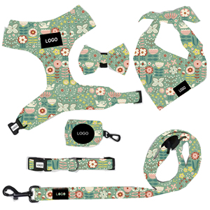 Set Pettorina per Cani in Poliestere Personalizzabile all'Ingrosso, Lussuoso Set con Stampa Personalizzata alla Moda per Tutte le Stagioni, Pettorina, Collare e Guinzaglio - Product Image 1