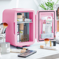 Réfrigérateurs mini-frigos thermoélectriques portables 12V pour cosmétiques, fournisseur