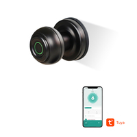 Serrure sphérique à empreinte digitale pour l'intérieur, bureau, appartement, hôtel, porte en bois, serrure à capteur électronique Tuya Wifi, serrure à bille intelligente