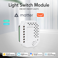 Interrupteur mural 2 canaux MT-SW01WM Tuya pour domotique, compatible avec Alexa, Google, Apple, interrupteur relais pour une utilisation en maison intelligente