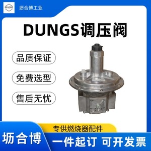 Livraison directe de la vanne de réduction de pression allemande Dungs FRS5040, vanne de régulation de pression de gaz, Lihebo propose un choix de modèles gratuit. - Product Image 4