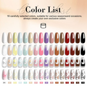 เจลทาเล็บ 16 สี แบบไม่ต้องเช็ด ไล่เฉดสี สำหรับเพ้นท์เล็บ ทำเล็บมือแบบ DIY สำหรับร้านทำเล็บ ขายส่ง - Product Image 5
