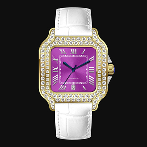 Montres <span class=keywords><strong>Titan</strong></span> pour hommes 40 mm, <span class=keywords><strong>montre</strong></span> mécanique en moissanite VVS1, montres en moissanite en gros, <span class=keywords><strong>montre</strong></span>-bracelet de luxe pour hommes, style hip-hop - Product Image 6