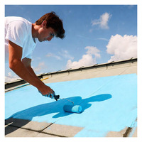 Peinture acrylique imperméable pour toiture et béton extérieur, revêtement protecteur à base d'eau