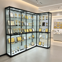Vitrines d'exposition personnalisées pour loisirs créatifs, vitrine en verre verrouillable avec éclairage LED pour objets de collection et décoration intérieure