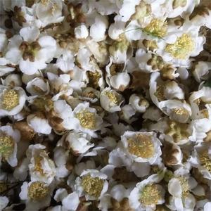 ตัวเลือกอันดับต้นๆ สำหรับการผสมเกสรเทียม: ผงเกสรตัวผู้ของกีวี |   ตัวเลือกที่เชื่อถือได้สำหรับเกษตรกรผลไม้ |   ราคาที่ดีกว่าสำหรับการสั่งซื้อจำนวนมาก - Product Image 2