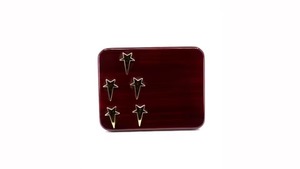 Placa de 5 estrellas corporativa hecha a mano de suministro directo de fábrica para conmemorar logros corporativos excepcionales disponibles en venta - Product Image 2