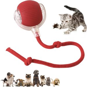 Nouveau design en promotion : Balle interactive intelligente avec accessoires de queue, roule sur tapis, jouet intelligent pour chat, rapide et indestructible - Product Image 1