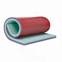 Rouleaux de revêtement de sol PVC Runsure : Solution de pose rapide et sûre pour l'entraînement de volley-ball, faible teneur en COV, vente chaude au Vietnam, prix de gros usine