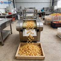 Automatische groentesnijder, mini groentesnijder, grote groentesnijder, fruit snijmachine voor landbouwbedrijven en fruitverwerkingsfabrieken