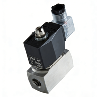 Vanne solénoïde à piston 2/2 voies en acier inoxydable NC SS304 SS316, zéro fuite, pour vapeur et liquides haute température
