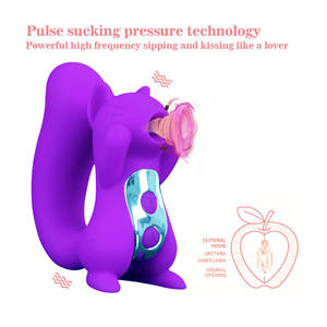 Vibratore a Forma di Scoiattolo Giocattolo Sessuale Femminile Stimolatore Clitorideo Punto G Succhiatore per Capezzoli e Clitoride Vibratore con Funzione di Succhio - Product Image 3