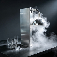 Refroidisseur de verres commercial en acier inoxydable 12L 220V, refroidisseur instantané de verres à bière, refroidisseur de verres à cocktail CO2 pour bar
