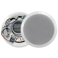 Altavoz de Techo JBHKJ 104, Woofer de 5-10W, Carcasa de Plástico, Coaxial de Rango Completo, Sistema de Audio PA para Cine en Casa