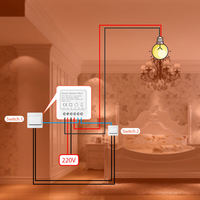 Modul Saklar Lampu Pintar 2 Gang WiFi Tuya, Otomatisasi Rumah Alexa Google, Relay Pemutus DIY