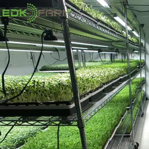 Indoor Table 18w Microgreen Light 6400k T5 Ho Tube Full Spectrum Aquaponics Plant Led Grow Light