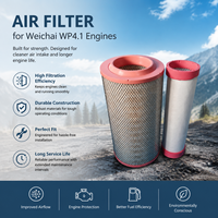 Weichai WP4.1 Engine Air Filter 13074774 OE Replacement High Quality Diesel Truck Spare Part Element Primary Safety Set