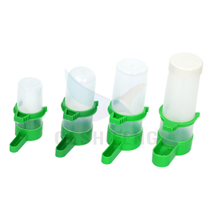 Alimentación y agua de doble uso PP pájaro paloma alimentador de alimentos <span class=keywords><strong>bebedero</strong></span> de agua para pájaros loro - Product Image 2