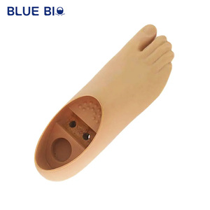 Chất Lượng Cao Y Tế Nhân Tạo Chân Tay Giả Nhà Sản Xuất Giả Đôi Trục Chân - Product Image 6