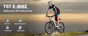 Bicicletta Elettrica <span class=keywords><strong>da</strong></span> Città OEM M612 Classica <span class=keywords><strong>da</strong></span> 26 Pollici per <span class=keywords><strong>Uomo</strong></span>, 36V con Sensore, 7 Velocità, <span class=keywords><strong>Bici</strong></span> Elettrica <span class=keywords><strong>da</strong></span> Strada - Product Image 4