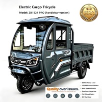 ZB1524 PRO Yüksek Performanslı Elektrikli Kargo Üç Tekerlekli Bisikleti - 1500W Güç ve 500KG Taşıma Kapasitesi Uzmanı (EEC Sertifikalı)