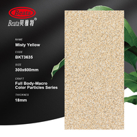 Nouvelle Arrivée Carrelage Extérieur pour Mur 600x300mm 18mm, Dalles Écologiques Imperméables Antidérapantes pour Projets de Façade de Centre Commercial