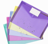 Carpeta de Archivo Transparente de Plástico, Tamaño Carta A4, Sobre para Documentos con Bolsillo para Etiquetas, Bolsa de Almacenamiento para Oficina en Casa