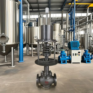 Kendinden işletilen düşük sıcaklık basınç ayar vanası - Product Image 4