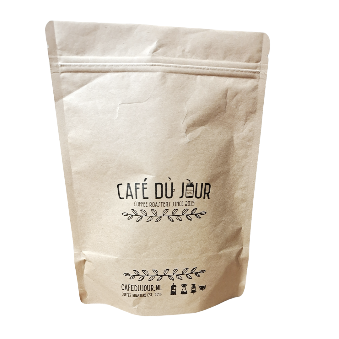 Eco-friendly Foldable Reusable Kraft Paper Bag Trustworthy Dinosource Custom Kraft Paper Shopping Bag With Your Own logo