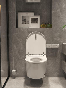 Toilettes intelligentes de qualité européenne murale en céramique sanitaire économie d'eau pour salle de bain <span class=keywords><strong>Geberit</strong></span> Fashion Style - Product Image 6