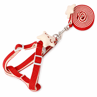 Ensemble laisse et harnais pour animaux de compagnie Star Charm, style dessin animé, réglable, durable, accessoires de promenade en plein air pour petits chiens, chiots, chats