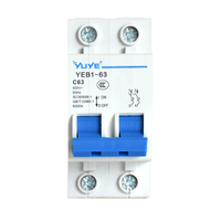 125A 2P Miniature Circuit Breaker MCB DIN Rail untuk Kotak Sambungan Rumah Kotak Distribusi PV Surya CE CCC ODM Pabrik Kustom YUYE