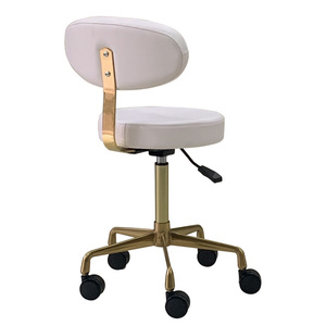 Hochey chaise mobile dentaire standard médicale complète <span class=keywords><strong>selle</strong></span> tabouret de médecin en cuir PU chaise de <span class=keywords><strong>dentiste</strong></span> tabouret roulant avec support dorsal - Product Image 4