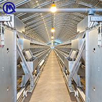 Cage d'élevage avicole de type H pour l'Afrique centrale, capacité 70 000 oiseaux, conception de structure stable pour ferme d'élevage, avec broyeur de fumier à bande