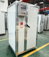Four de séchage électrique commercial en acier inoxydable pour fruits, épices, oignons, ail et carottes
