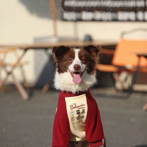 Felpe con stampa digitale autunno inverno in pile di poliestere per <span class=keywords><strong>cani</strong></span> di grandi dimensioni eco-friendly per Golden Retriever Border Collie - Product Image 4
