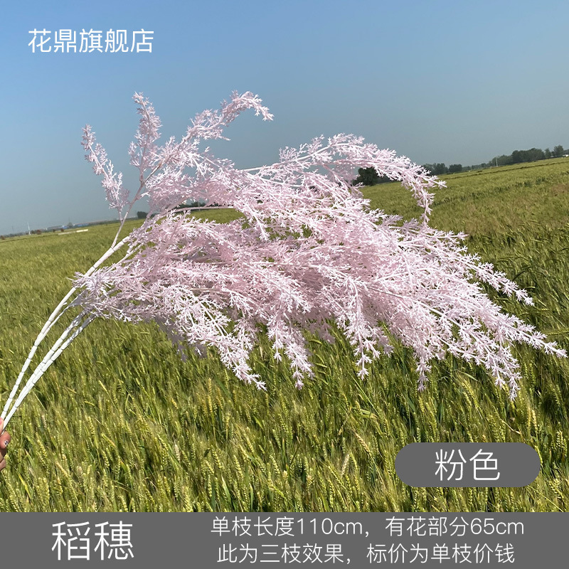 Espigas de arroz rosadas