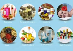 Atacado de Fábrica: Cristal de Mentol Branco de Alta Pureza (99%) - CAS 89-78-1 - Grande Estoque - Product Image 4