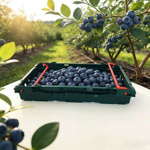 Achat en gros direct <span class=keywords><strong>de</strong></span> paniers empilables <span class=keywords><strong>et</strong></span> emboîtables en plastique maillé personnalisables avec poignées pour le stockage <span class=keywords><strong>de</strong></span> <span class=keywords><strong>fruits</strong></span> <span class=keywords><strong>et</strong></span> légumes - Product Image 1