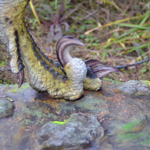 Dinosaurio robótico Animatronic <span class=keywords><strong>Blue</strong></span> Lizard <span class=keywords><strong>Velociraptor</strong></span> para Parque de Atracciones - Product Image 5