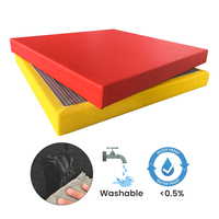 Tapis de judo LINYIQUEEN Premium, absorption des chocs, 2m*1m, personnalisable en fonction du lieu, lavable et imperméable, pour judo et boxe